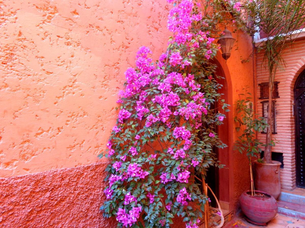 Sesame Affittacamere Marrakesh